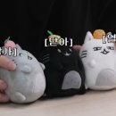 나나굿즈