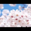 오늘도기쁨14