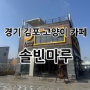 솔빈 마루 | 경기 김포 아이와 고양이 카페 “솔빈마루” 솔직 후기⭐️