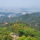 거북회관 | 관악산(수영장능선-버섯바위능선) 산행후기