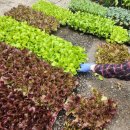 안흥종묘사 이미지