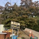 궁전참숯가마 | 돌아온 시흥 궁전참숯가마