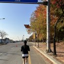 완주-봉동-비상-001 | [운동] 손기정마라톤 10k :: 레이스에 지각했슨.. 오히려좋아! (나이키줌플라이6 실착후기)