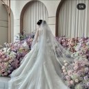 아틀리에 | [💍아이폰스냅] 라비니움 블룸홀 뮤게아틀리에 계약 후기