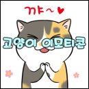 귀여운 고양이 움직이는 이모티콘 이미지