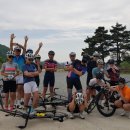 타이어챔피언 이미지