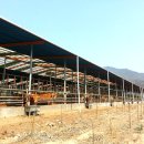 성곡농장 이미지