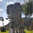 청솔수석박물관 이미지