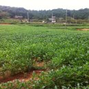 우람농장 이미지