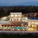 스테이쇼드 이미지