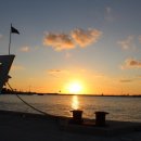 꿈꾸는 헤밍웨이 이미지