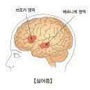 정언어통합발달센터