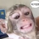 바야흐로;여름