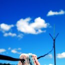 빨래나라 이미지