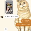 페스티벌 | 퍼스트뮤직스테이션 페스티벌 후기..(사실 엑디즈이야기)