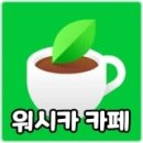 돼지카세차장 이미지