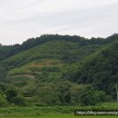 대곡면-10 이미지