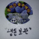 동보농장 네이버블로그