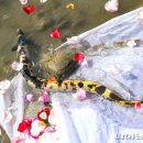 한강기원 이미지