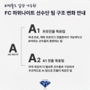 안성맞춤축구장(A구장) 이미지