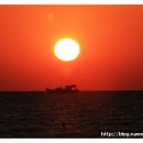 용유동사무소 이미지