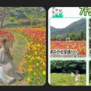 5월 가평 SNS에서 난리난 인기 여행지 TOP 5 (코스 포함)