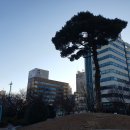 울산광역시청 1별관 이미지