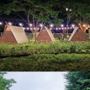 초록소비N