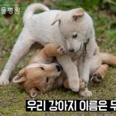아란누리 이미지