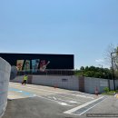전시회 (Mundo Pixar) 찐 후기, 사진 꿀팁, 주차 및 예매 정보, 뚝섬한강공원 피크닉 후기, 한강 라면까지⭐️
