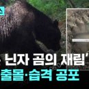 재림목장 이미지