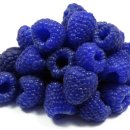 아이스팝 이미지