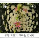 정형섭 Daum카페