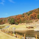 여주CC골프장 이미지