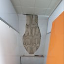 천안월봉초등학교 이미지