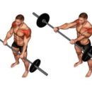 근모닝 헬스 이미지