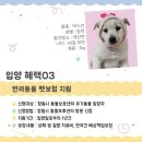 창원시 동물보호센터 동물병원 이미지