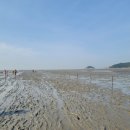 마시안어촌체험·휴양마을 이미지