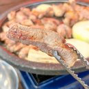 애견마당 네이버블로그