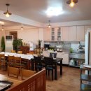 6시내고양이 이미지