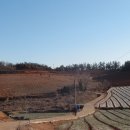 양림농장 이미지