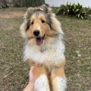 여주-0898 이미지