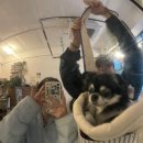 (주)노워리즈 네이버블로그