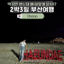 감탄떡볶이 평화점 | [부산 여행 2박 3일 Vlog] 해운대 숙소, 돼지국밥, 장어까지 먹기만 한 일정