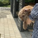 성경완 동물병원 이미지