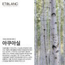 정민에스테틱 네이버블로그