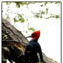 하늘과바람의호수 이미지