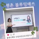 플레이매쓰 - 안산시 상록구 건건8길 10 | 평촌 플레이팩토 안양과천군포의왕지사에서 수학일기강연했어요^^ ft 블루밍매쓰