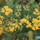 R&J씨어터 이미지