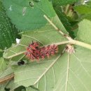 참새골약수터 이미지